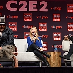 04082015_-_2015_Chicago_Comic_and_Entertainment_Expo_-_Day_3_002.jpg