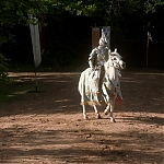 Filename=GAME_OF_THRONES_-_E1X05_THE_WOLF_AND_THE_LION_050.jpg
Filesize=607KiB
Dimensions=1280x720
Date added=Nov 22, 2016 GAME_OF_THRONES_-_E1X05_THE_WOLF_AND_THE_LION_050.jpg