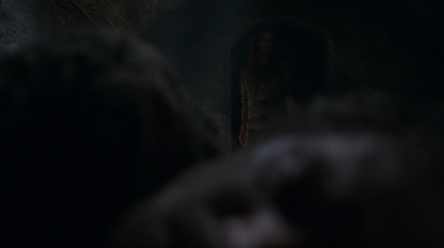 GAME_OF_THRONES_-_E6X04_BOOK_OF_THE_STRANGER_035.jpg