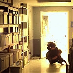 Filename=IRON_FIST_-_NYCC_TEASER_TRAILER_140.jpg
Filesize=396KiB
Dimensions=1280x720
Date added=Nov 25, 2016 IRON_FIST_-_NYCC_TEASER_TRAILER_140.jpg