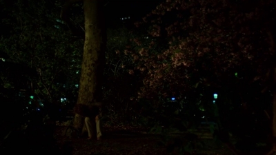 IRON_FIST_-_E1X01_SNOW_GIVES_WAY_0465.jpg