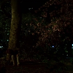 IRON_FIST_-_E1X01_SNOW_GIVES_WAY_0465.jpg
