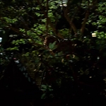 IRON_FIST_-_E1X01_SNOW_GIVES_WAY_1048.jpg