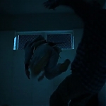 IRON_FIST_-_E1X02_SHADOW_HAWK_TAKES_FLIGHT_1181.jpg